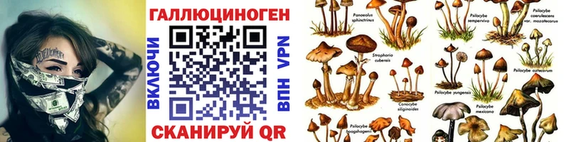 Псилоцибиновые грибы мухоморы  omg рабочий сайт  Бежецк 
