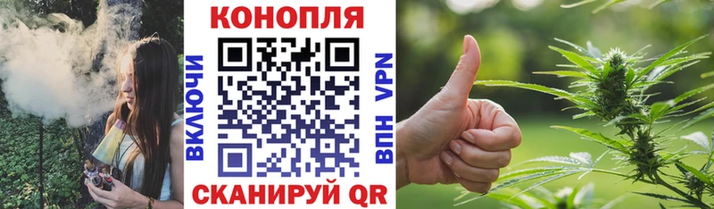 купить наркоту  Бежецк  Бошки Шишки SATIVA & INDICA 